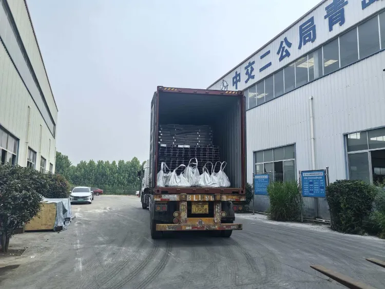 Qingdao Liweiyuan Steel Structure livre à un client islandais des composants en acier personnalisés pour les fermes piscicoles